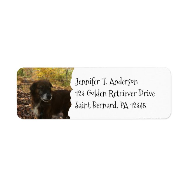 Personalised Dog Pet Photo Return Address (Front)