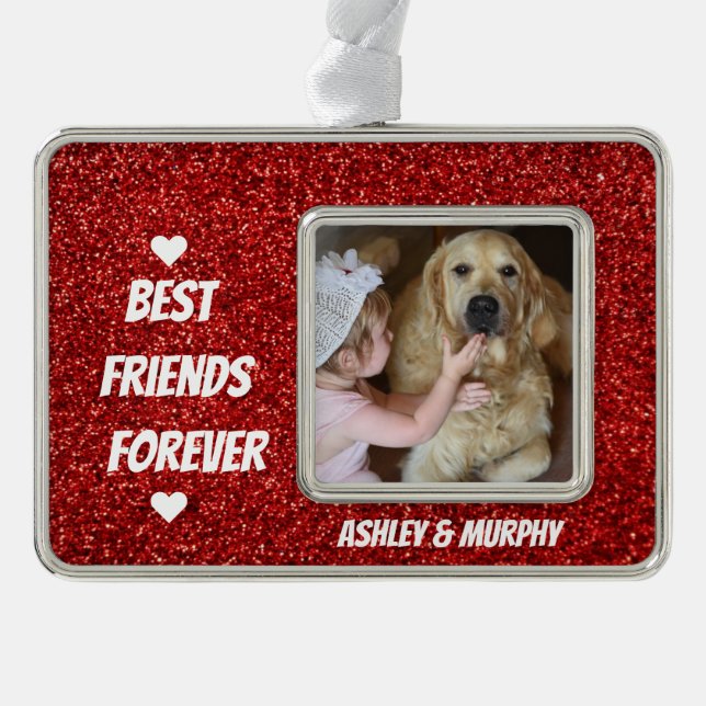 Personalised Dog Pet Photo with Best Friends Quote Silver Plated Framed Ornament (Front)
