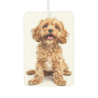 Personalised Dog Photo Air Freshener