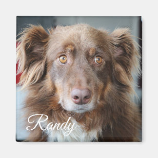 Personalised Dog Photo and Name Magnet