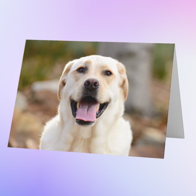 Personalised Dog Photo Card (Creator Uploaded)