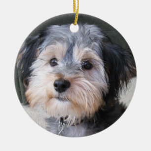 Personalised Dog Photo Frame - DOUBLE-SIDED Ceramic Tree Decoration
