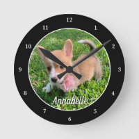 Personalised Dog Photo Monogram Modern Pet Owner