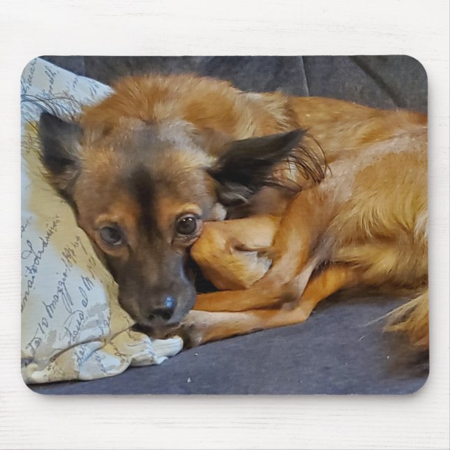 Personalised Dog Photo   Mouse Mat (Front)