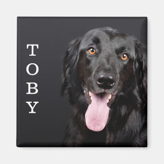 Personalised Dog Photo Refrigerator Magnet