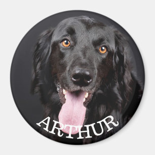 Personalised Dog Photo Refrigerator Magnet
