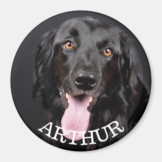 Personalised Dog Photo Refrigerator Magnet (Front)