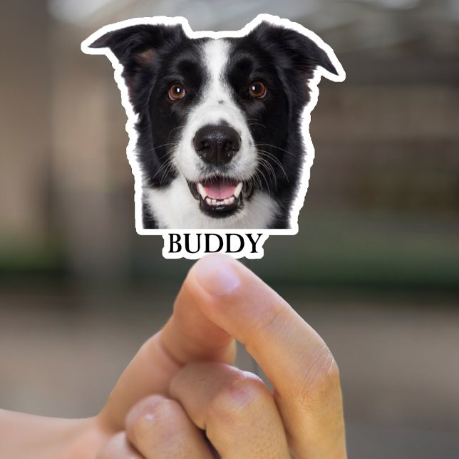 Personalised Dog Photo Sticker Custom Dog Stickers (Creator Uploaded)