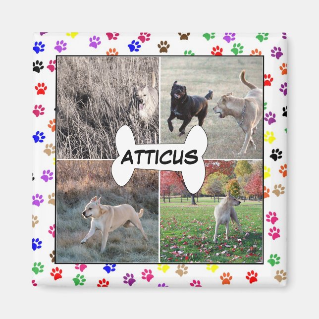 Personalised Dog Photos Paw Prints Instagram Magnet (Front)