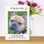 Personalised Dog Walker Pet Care Pet Photo  Thank Thank You Card<br><div class="desc">Say 'Thank You' to your wonderful dog walker with a cute personalised pet photo card from the dog! "It's not where you walk, its who walks with you... I'm so lucky I walk with you!" Personalise with the dog's name & favourite photo. Personalise the inside with your special message or...</div>