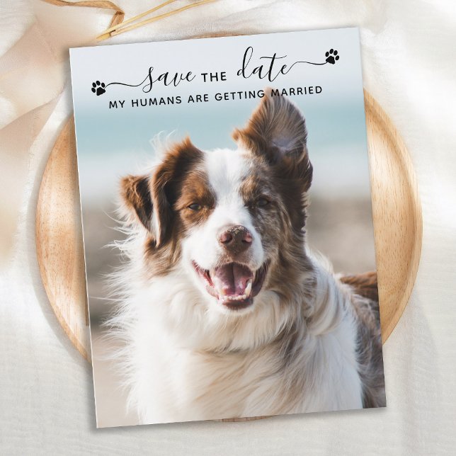 Personalised Dog Wedding Pet Photo Save The Date Announcement Postcard (Creator Uploaded)