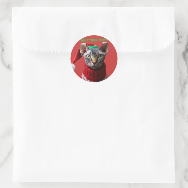 Personalised Elf Sphynx Cat Photo Christmas  Classic Round Sticker (Bag)