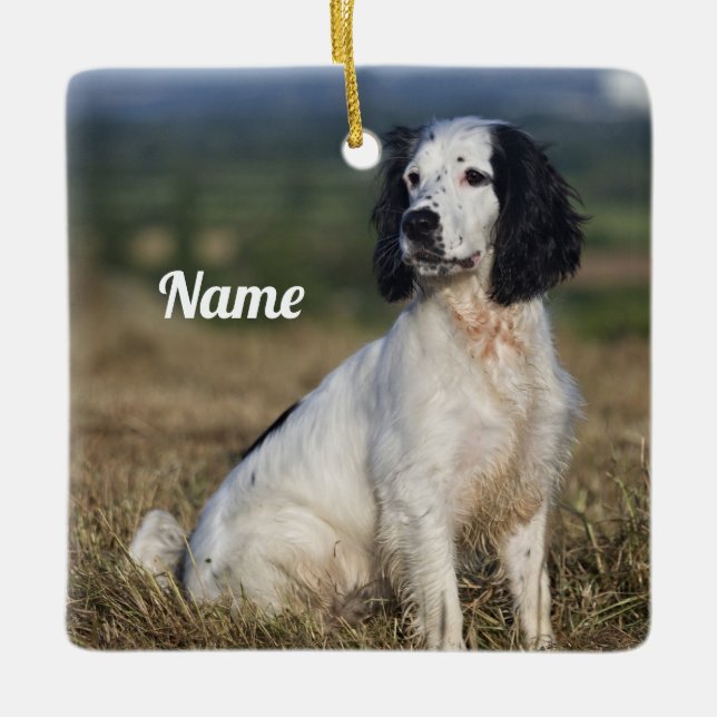 Personalised English Springer Spaniel Ceramic Ornament (Front)