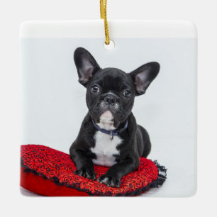 Personalised Family Acrylic Keepsake Ornament