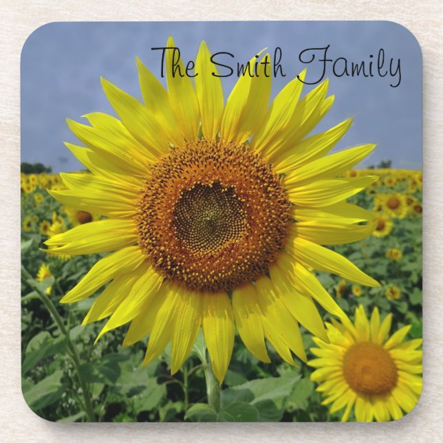 Personalised Field of Sunflowers Coaster (Front)