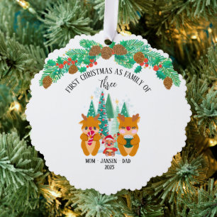 Personalised First Christmas Reindeer  Tree Decoration Card