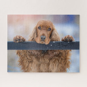 Personalised Fluffy Brown Cocker Spaniel Dog Jigsaw Puzzle