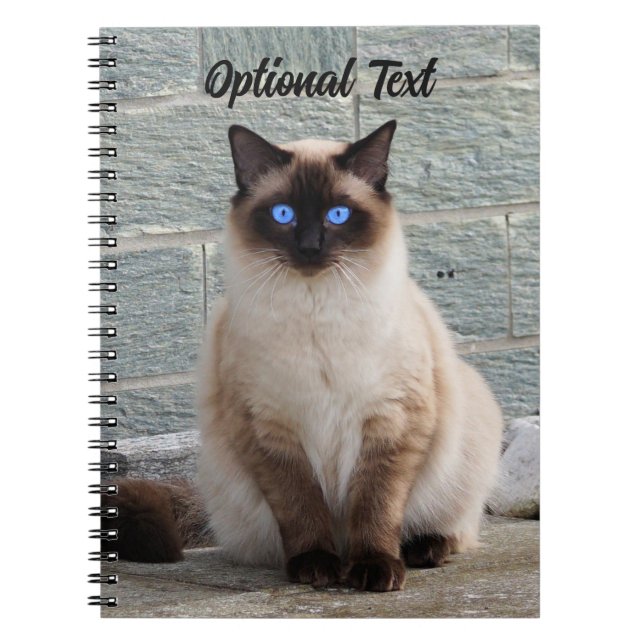 Personalised Fluffy Cat with Blue Eyes Notebook (Front)