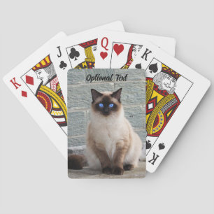 Personalised Fluffy Cat with Blue Eyes Playing Cards