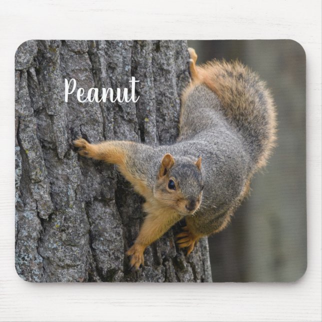 Personalised Fox Squirrel on a Tree Mouse Mat (Front)
