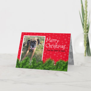 Personalised From the Dog - Christmas Cards