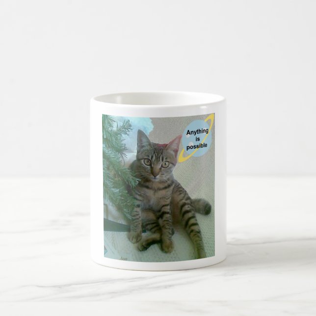 Personalised funny cat mugs (Center)