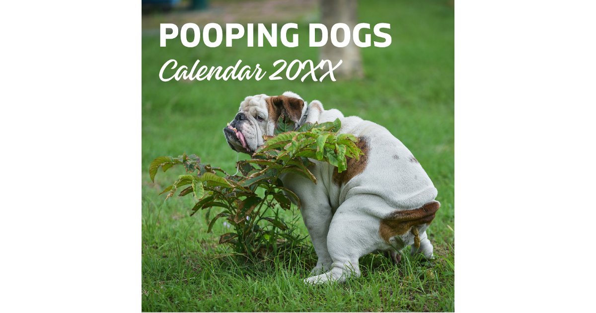 Personalised Funny Dogs Pooping Calendar 2025 | Zazzle