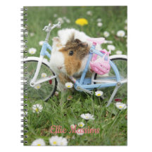 Personalised / Funny Guinea Pig Photo
