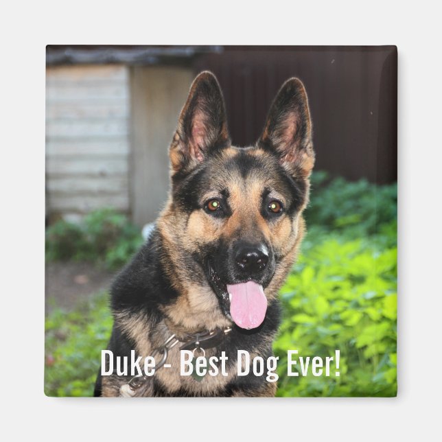 Personalised German Shepherd Dog Photo, Dog Name Magnet (Front)