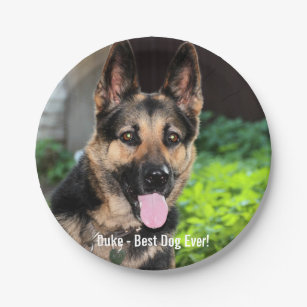 Personalised German Shepherd Dog Photo, Dog Name Paper Plate