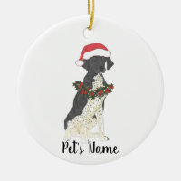 Personalised German Shorthaired Pointer (Black)