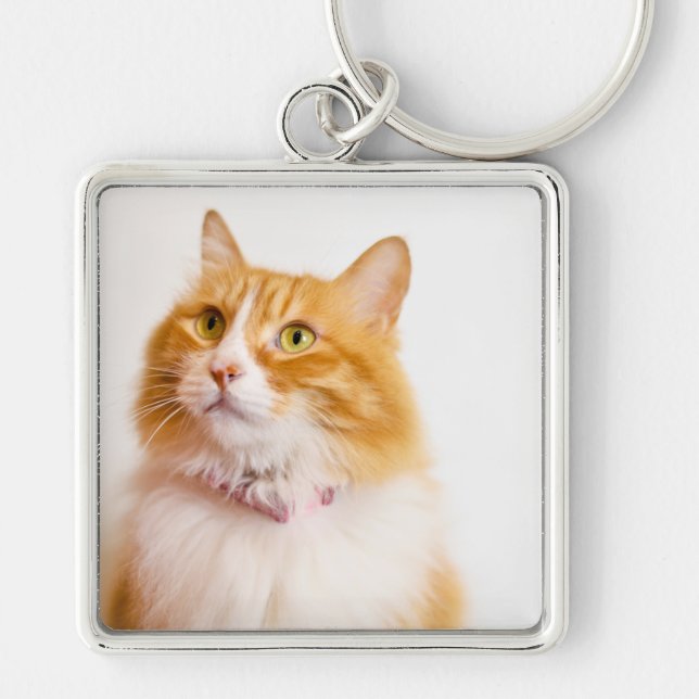 Personalised Ginger Cat Photo Custom Name  Key Ring (Front)