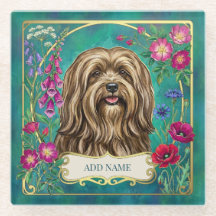 Personalised Golden Lhasa Apso Glass Coaster