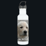 Personalised Golden Retriever Dog Photo and Name 710 Ml Water Bottle<br><div class="desc">Personalise this Golden Retriever Dog keepsake with your dog's or puppy's photo and name (or other pet or person's photo/name). Text reads "Best Dog Ever" or add your own text - We love Daisy (your dog's name), dog's birthday or day of passing. Just click on "customise" to add your personalised...</div>