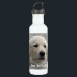 Personalised Golden Retriever Dog Photo and Name 710 Ml Water Bottle<br><div class="desc">Personalise this Golden Retriever Dog keepsake with your dog's or puppy's photo and name (or other pet or person's photo/name). Text reads "Best Dog Ever" or add your own text - We love Daisy (your dog's name), dog's birthday or day of passing. Just click on "customise" to add your personalised...</div>