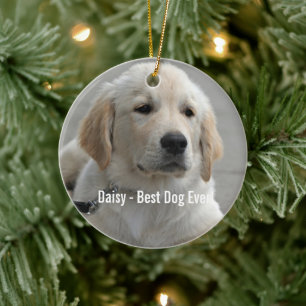 Personalised Golden Retriever Dog Photo and Name Ceramic Tree Decoration