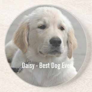 Personalised Golden Retriever Dog Photo and Name Coaster