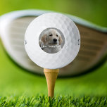 Personalised Golden Retriever Dog Photo and Name Golf Balls<br><div class="desc">Personalise this keepsake with your dog's or puppy's photo and name (or other pet or person's photo/name). Text reads "Best Dog Ever" or add your own text - We love Daisy (dog's name), dog's birthday or day of passing. Just click on "customise" to add your personalised text, change the font...</div>