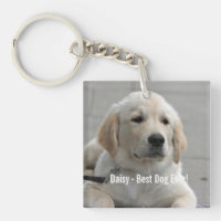 Personalised Golden Retriever Dog Photo and Name
