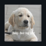 Personalised Golden Retriever Dog Photo and Name Magnet<br><div class="desc">Personalise this Golden Retriever Dog keepsake with your dog's or puppy's photo and name (or other pet or person's photo/name). Text reads "Best Dog Ever" or add your own text - We love Daisy (your dog's name), dog's birthday or day of passing. Just click on "customise" to add your personalised...</div>