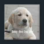 Personalised Golden Retriever Dog Photo and Name Magnet<br><div class="desc">Personalise this Golden Retriever Dog keepsake with your dog's or puppy's photo and name (or other pet or person's photo/name). Text reads "Best Dog Ever" or add your own text - We love Daisy (your dog's name), dog's birthday or day of passing. Just click on "customise" to add your personalised...</div>