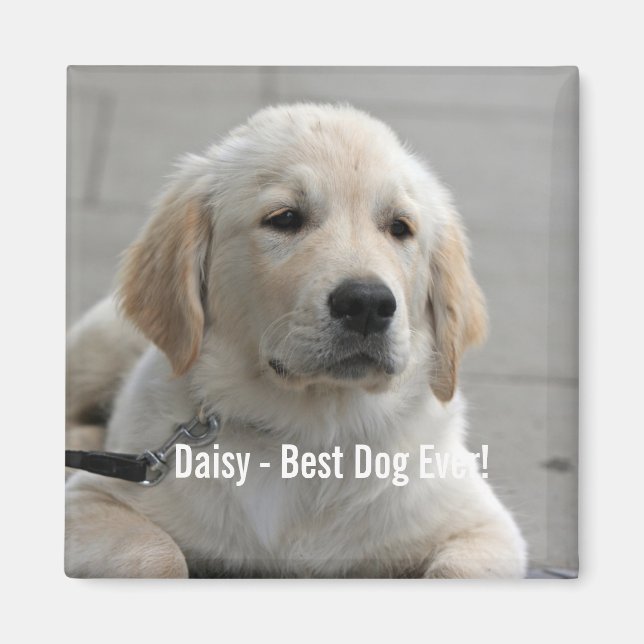 Personalised Golden Retriever Dog Photo and Name Magnet (Front)