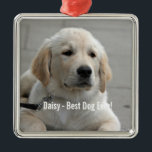 Personalised Golden Retriever Dog Photo and Name Metal Tree Decoration<br><div class="desc">Personalise this Golden Retriever Dog keepsake with your dog's or puppy's photo and name (or other pet or person's photo/name). Text reads "Best Dog Ever" or add your own text - We love Daisy (your dog's name), dog's birthday or day of passing. Just click on "customise" to add your personalised...</div>