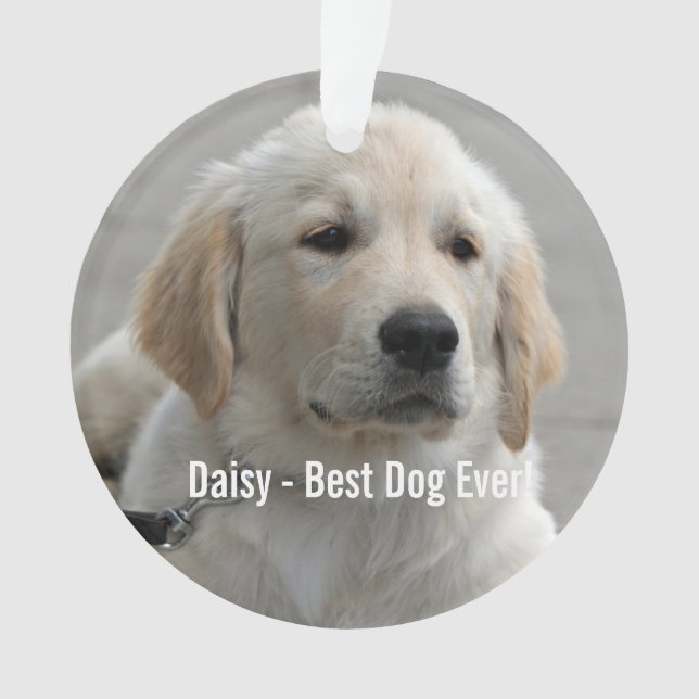 Personalised Golden Retriever Dog Photo and Name Ornament (Front)