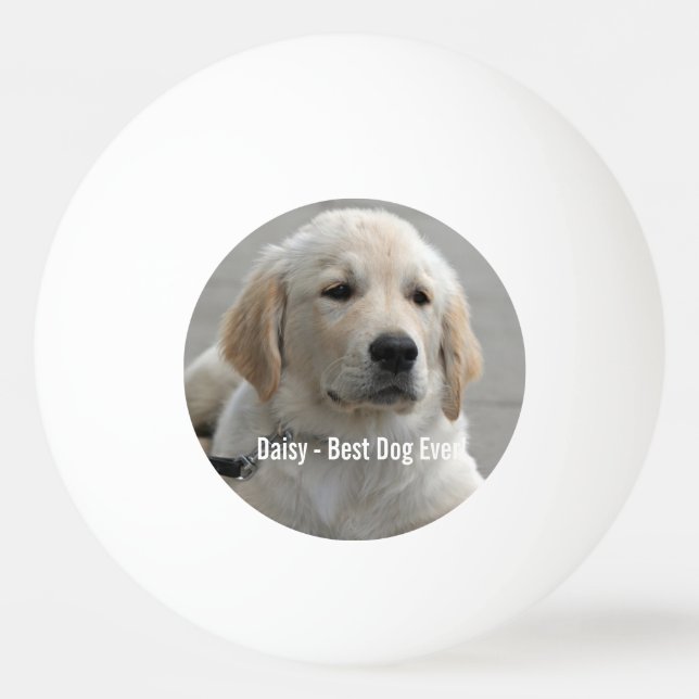 Personalised Golden Retriever Dog Photo and Name Ping Pong Ball (Front)