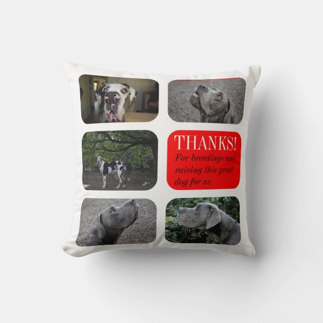 Personalised Great Dane Breeder Gift Pillow (Front)