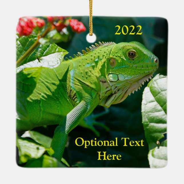 Personalised Green Iguana Lizard Ceramic Ornament (Back)