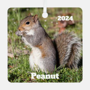 Personalised Grey Squirrel Metal Tree Decoration