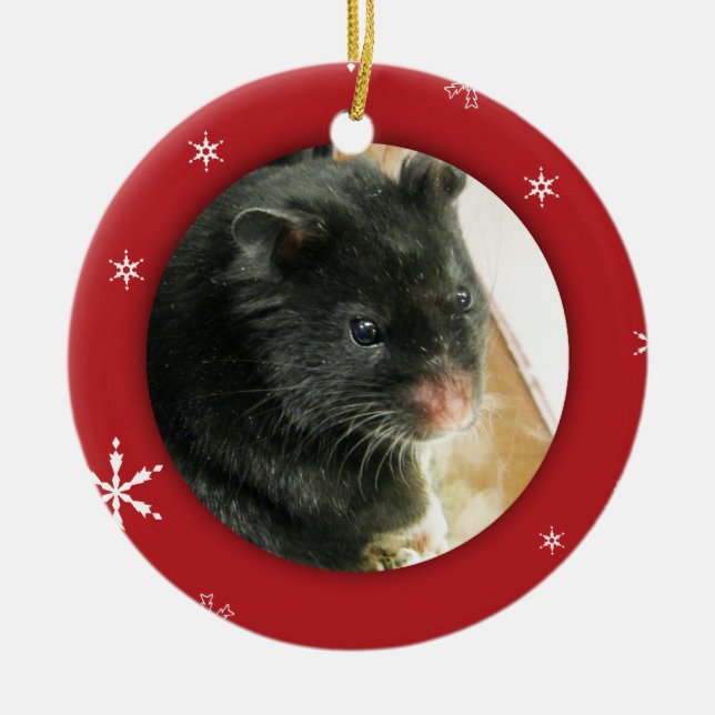 Personalised Hamster/Pet Photo Holiday Ceramic Tree Decoration (Front)