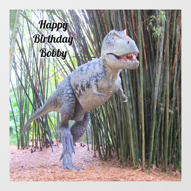 Personalised Happy Birthday Dinosaur Window Cling (Sheet)